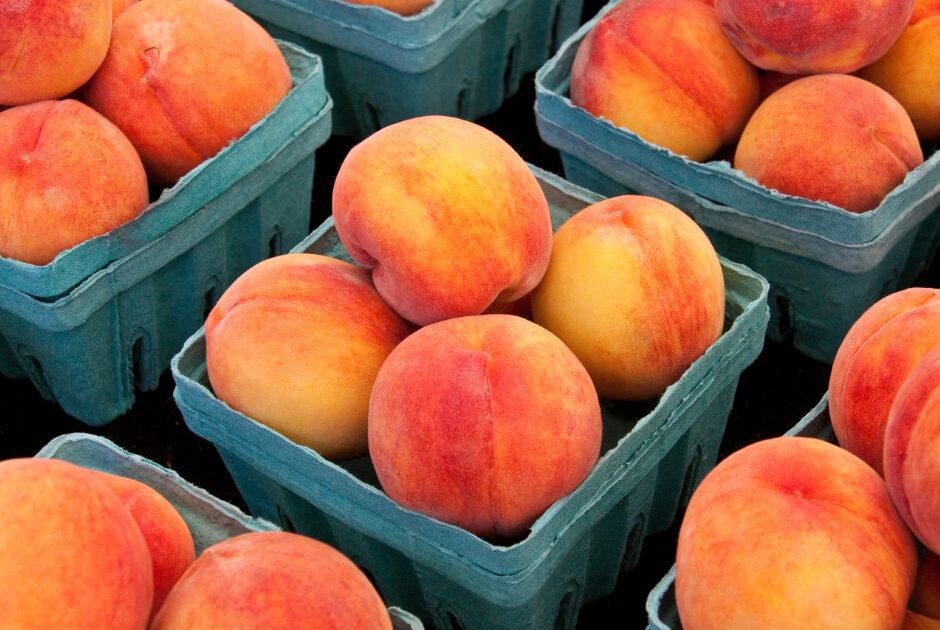 Savor the Summer's Sweetness at the 2023 NiagaraontheLake Peach