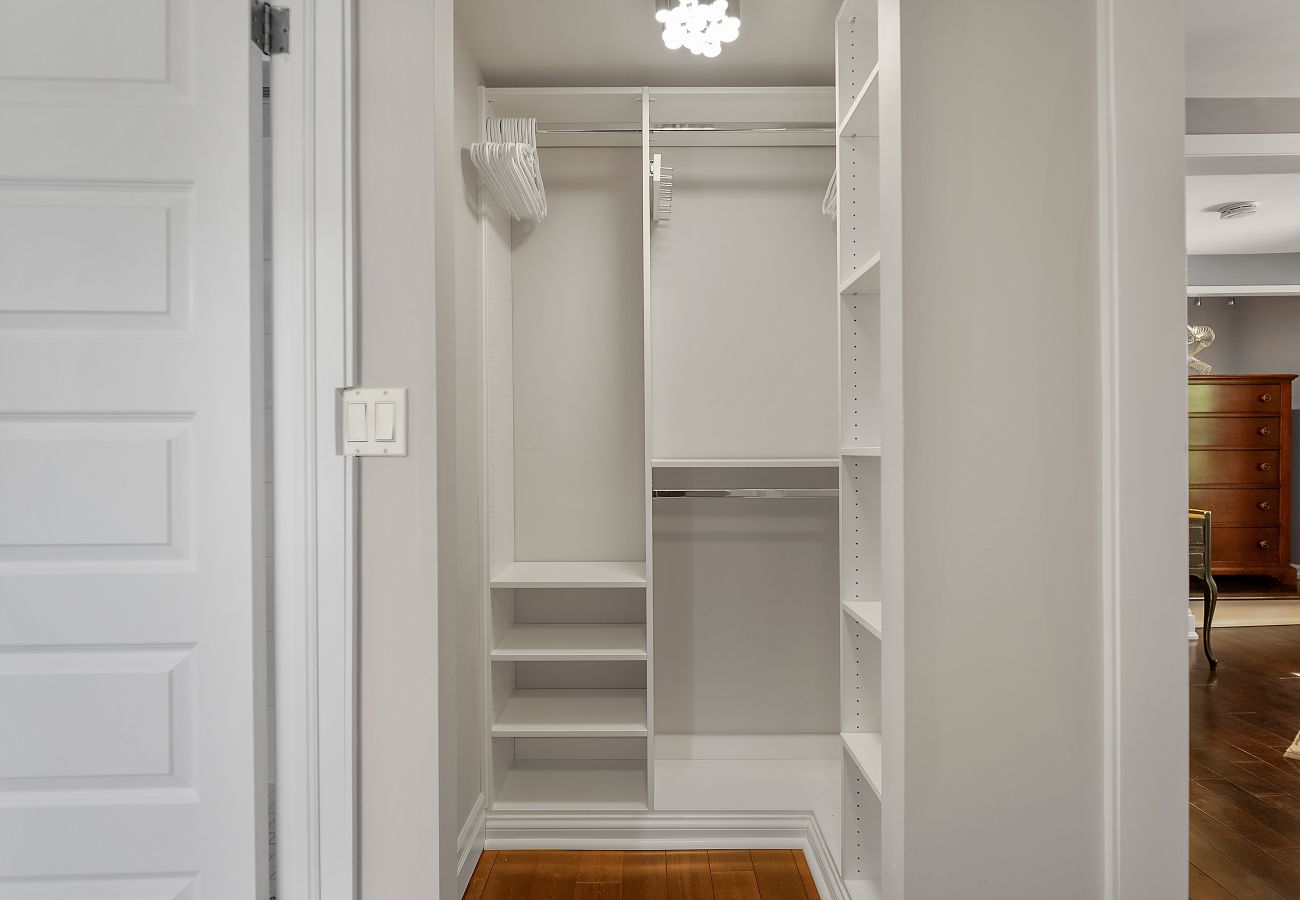 Empty closets with shelves and hanging rod